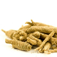 Panax ginseng